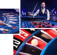 16oz Live Casino Ka Poora Manzar